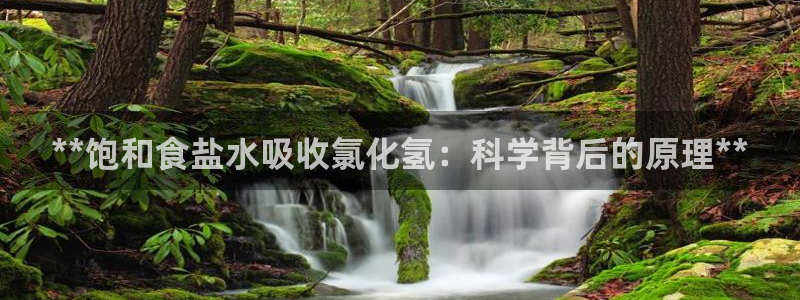 78mapp威九国际媒体