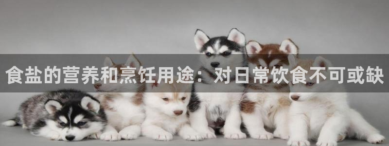 威九国际游戏入口