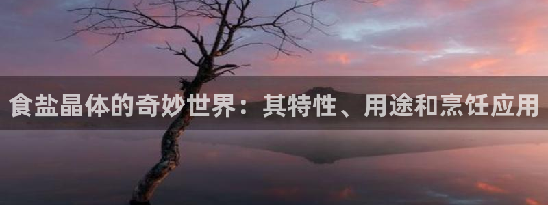 威九国际mv