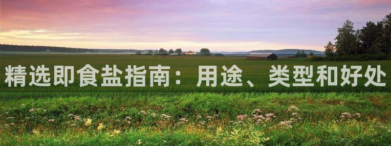 威九国际网页看视频弹窗的广告拦截插件