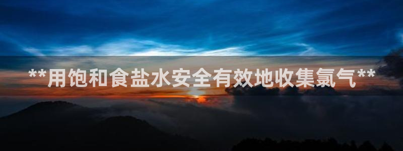 威九国际软件