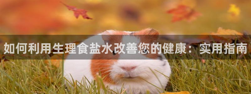 威九国际视频传媒招聘