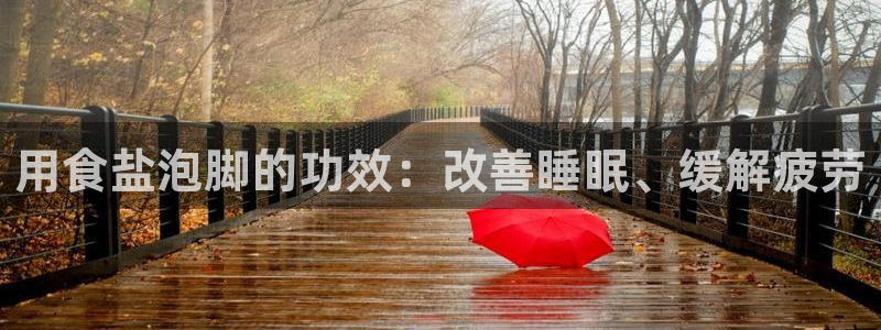 威九国际ppt免费吗