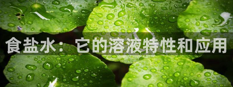 威九国际78mob游戏说明