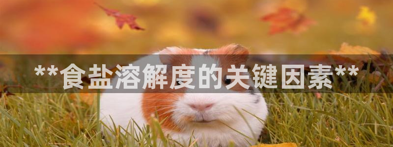 威九国际娜娜