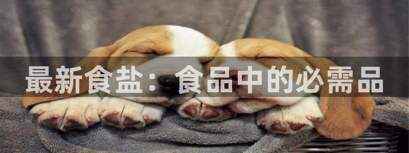 威九国际网站传媒
