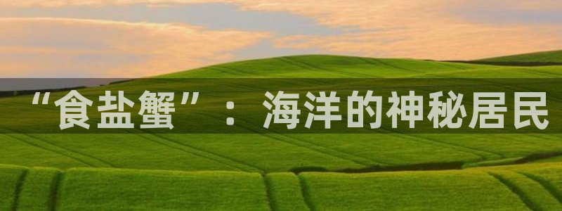 威九国际免费网络站