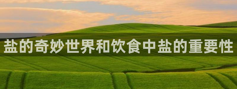 威九国际精选酒店地址