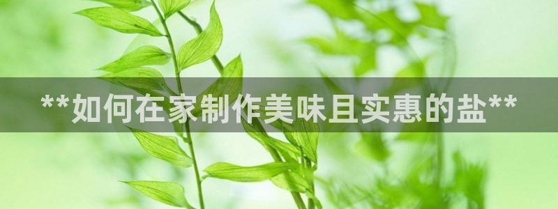 威九国际78m78下载