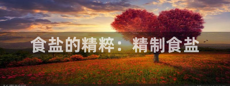 威九国际app网站
