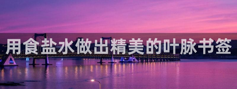威九国际女孩