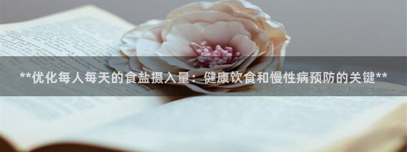 威九国际X8