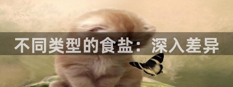 威九国际韩国