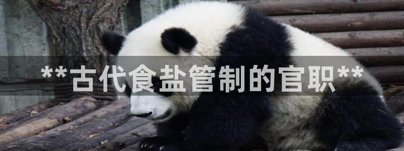 威九国际网站进入(中国)有限公司-官网