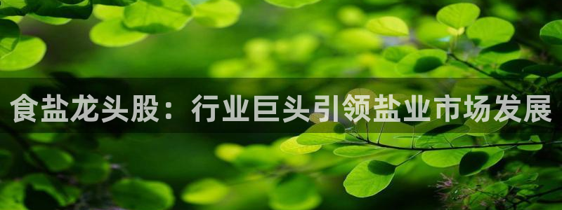 威九国际安全吗的认证团队