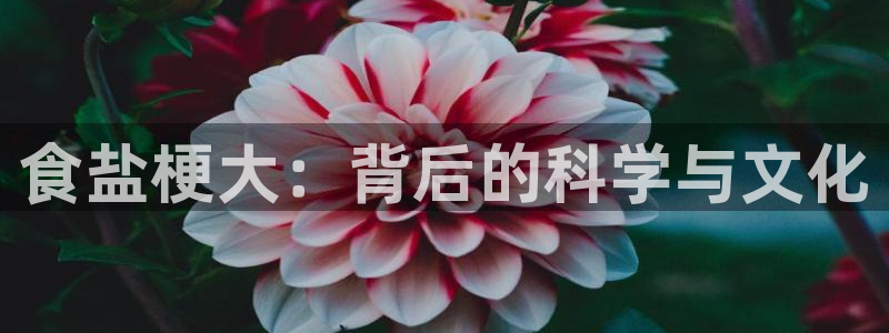 威九国际网站进入AB,AB
