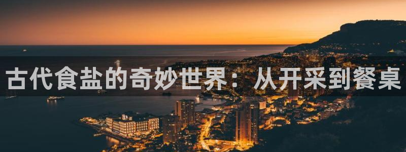 78mapp威九国际成长视频