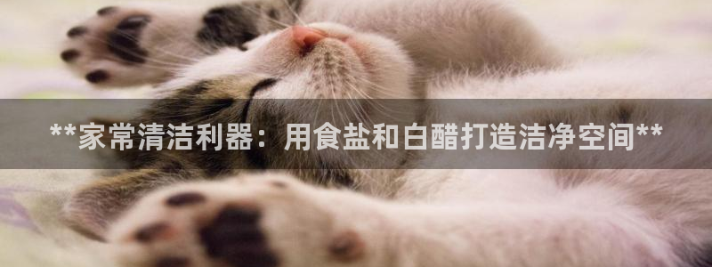 威九国际网站人入口
