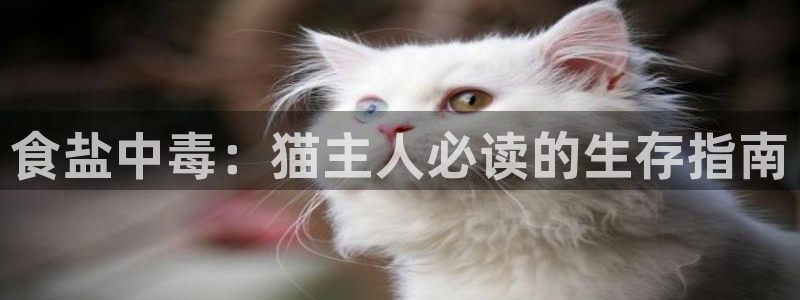 威九国际网站进入客服中心了吗