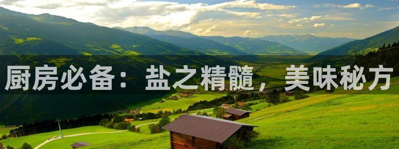 威九国际78mb下载