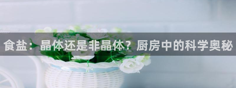 威九国际PPT