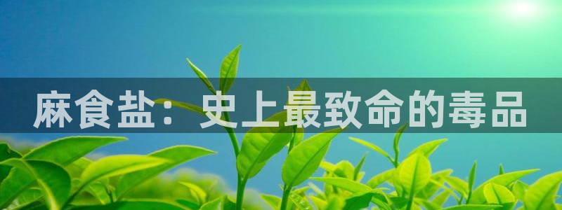 威九国际集团66m一6在线