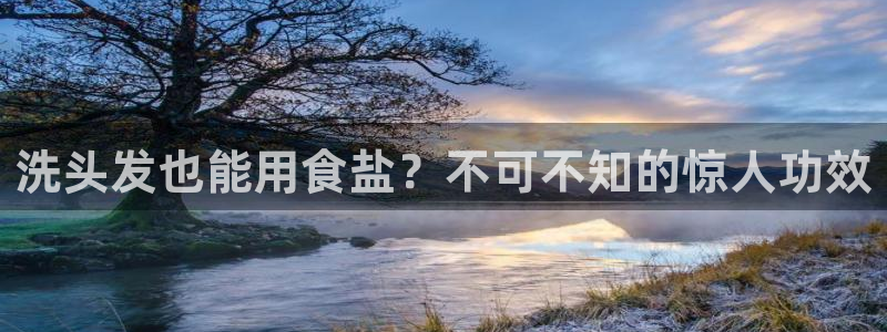 威九国际网站入口官网首页下载