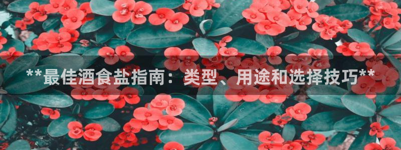 威九国际理论片最经典十首歌曲
