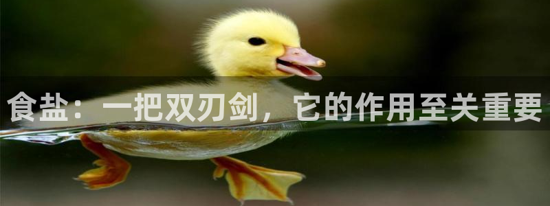 威九国际精彩视频2022年