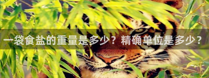 威九国际全国空降