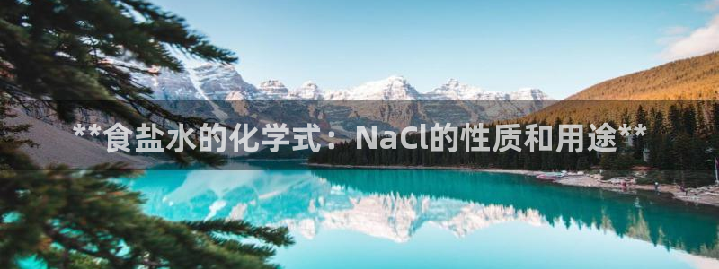 威九国际软件