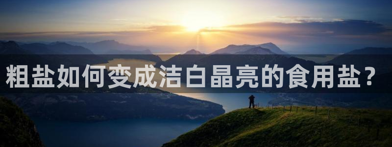 威九国际mv
