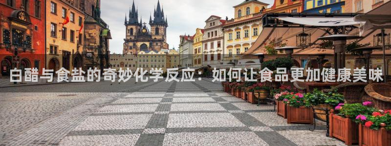 威九国际top
