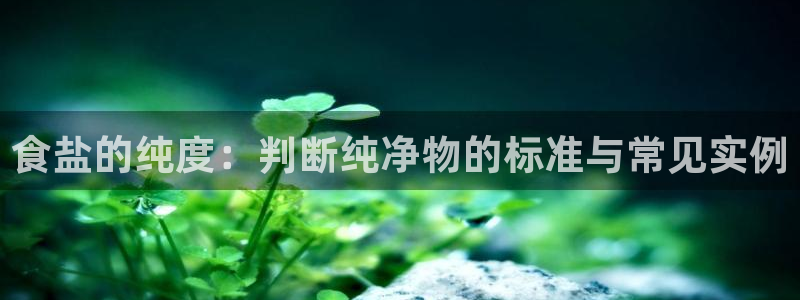威九国际EVA