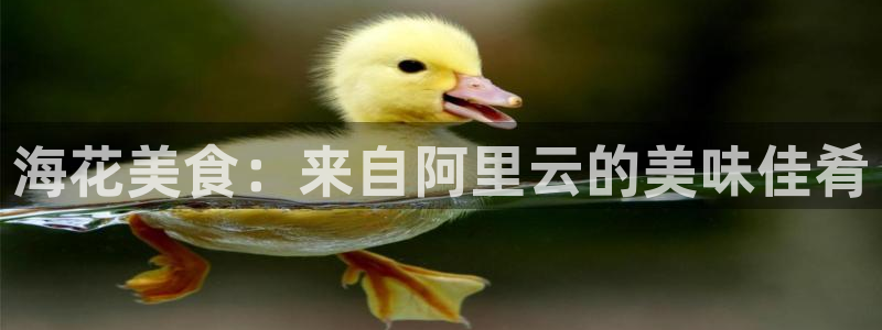 威九国际AN