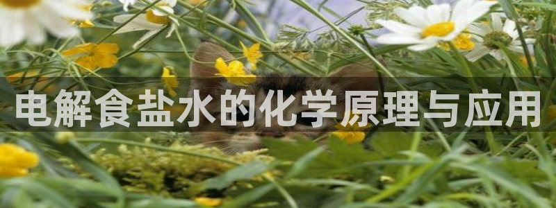 威九国际在线平台怎么样啊