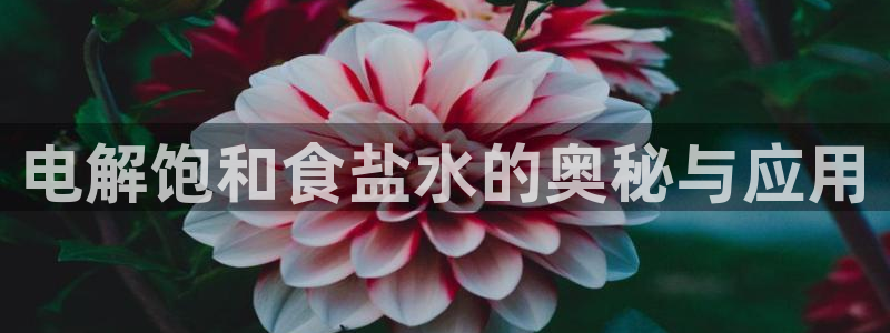 威九国际能提现吗现在