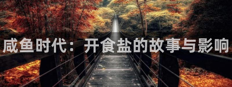 威九国际网站入口官网首页