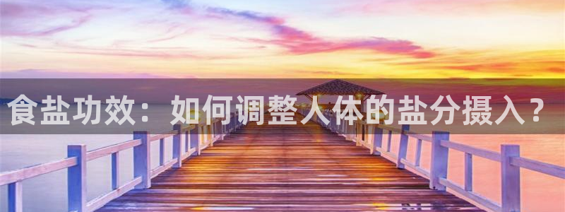 威九国际H