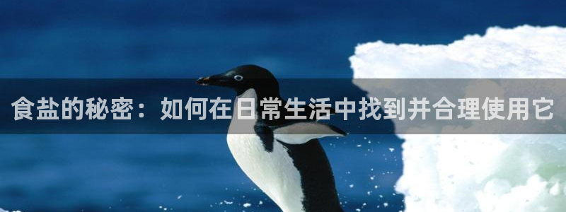 威九国际官网版