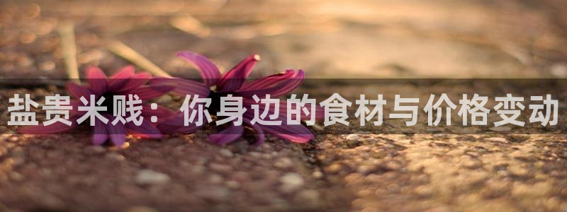威九国际女星