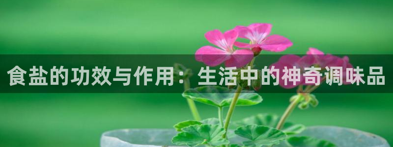 威九国际动漫
