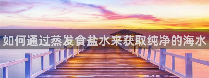 威九国际入囗