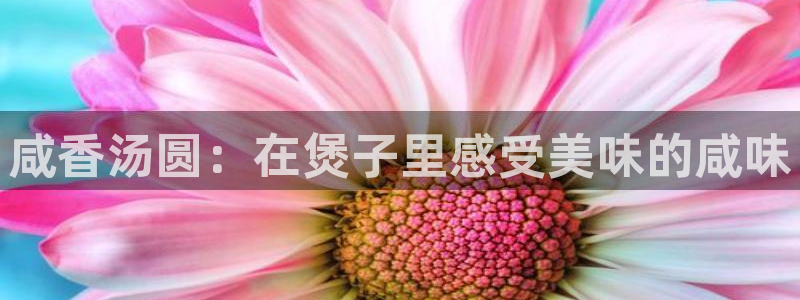 威九国际精忐