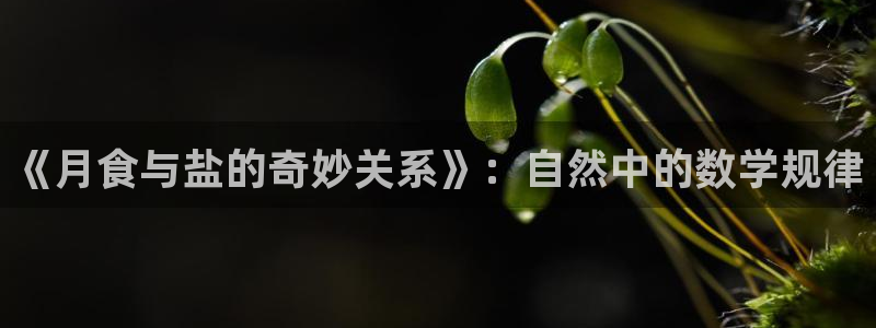 威九国际黑钱