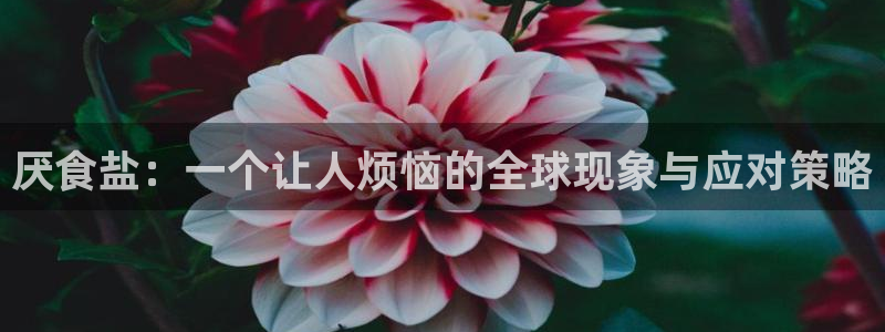 威九国际78m域名