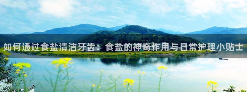 威九国际v9