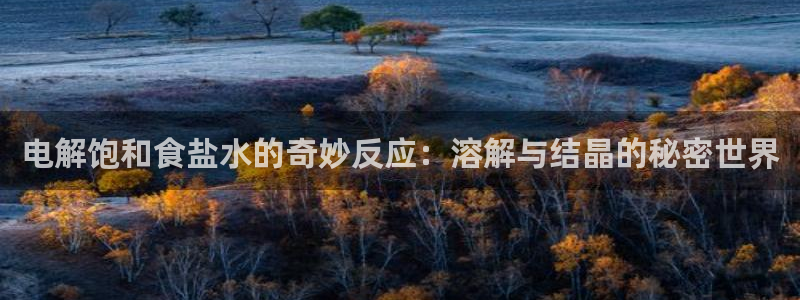 威九国际能提现吗安全吗