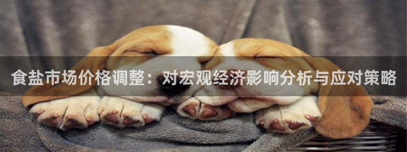 威九国际可以退钱吗怎么退的：食盐市场价格调整：对宏观经济影响