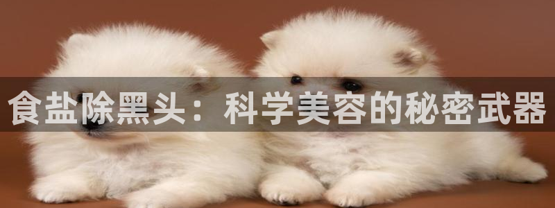 威九code6070：食盐除黑头：科学美容的秘密武器